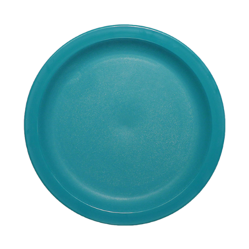 9 Inch Dinner Plater